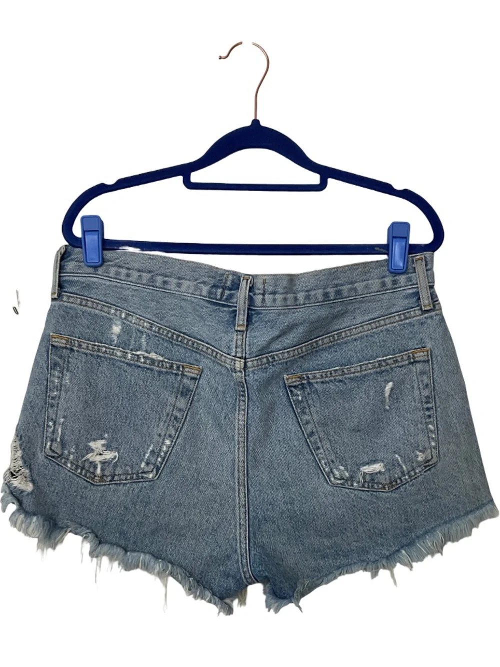 AGOLDE Parker Denim Shorts in Swapmeet